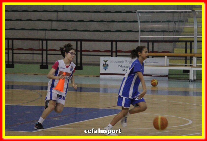 140505 basket 232_tn.jpg